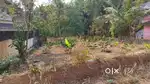 18.5 Cents of Land for Sale at Adichanalloor, Kaithakuzhy