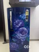 Refrigerator Fidge