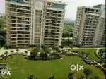 No owner flats SION / KING CIRCAL CHEMBUR / KURLA  WADALA TILAK NAGAR