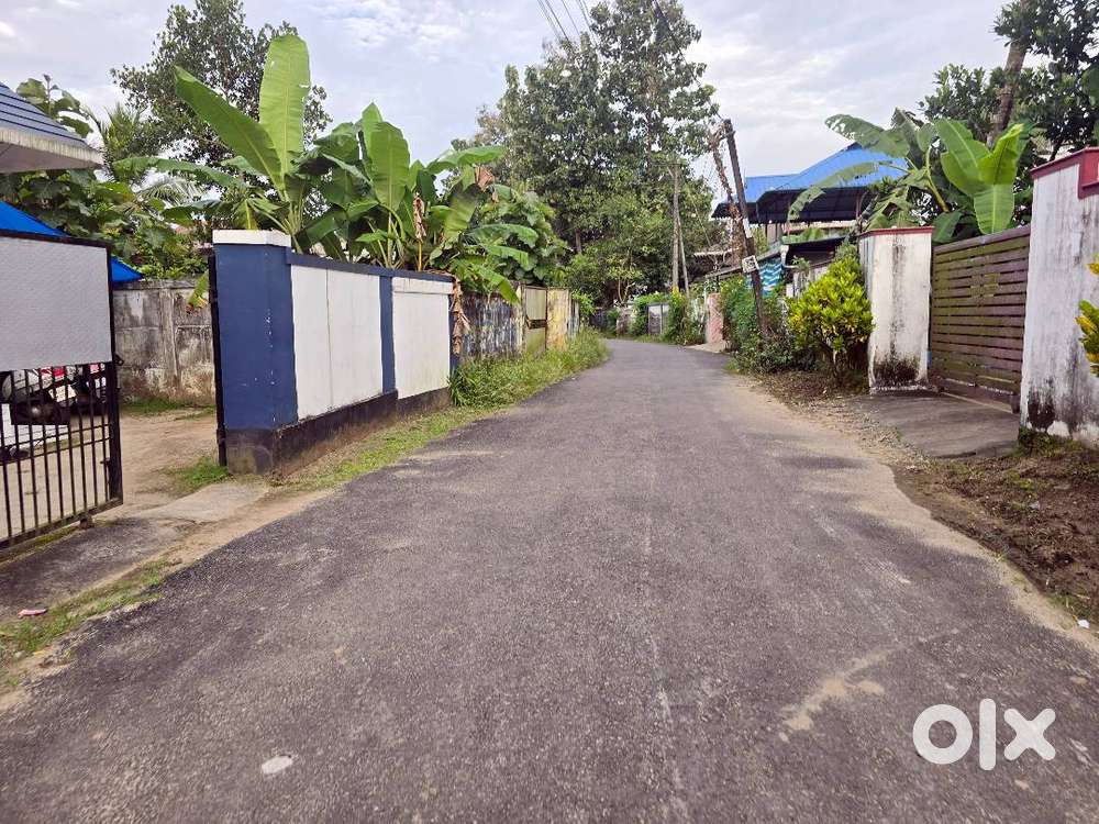 23 Cent Purayidam Land for Sale Neericode Near Kongorpilly Varapuzha