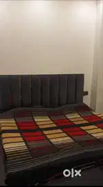 Owner free Independent single Room