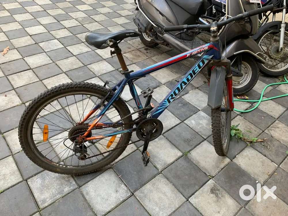 Roadeo fugitive cycle