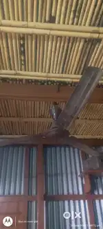 Celling fan