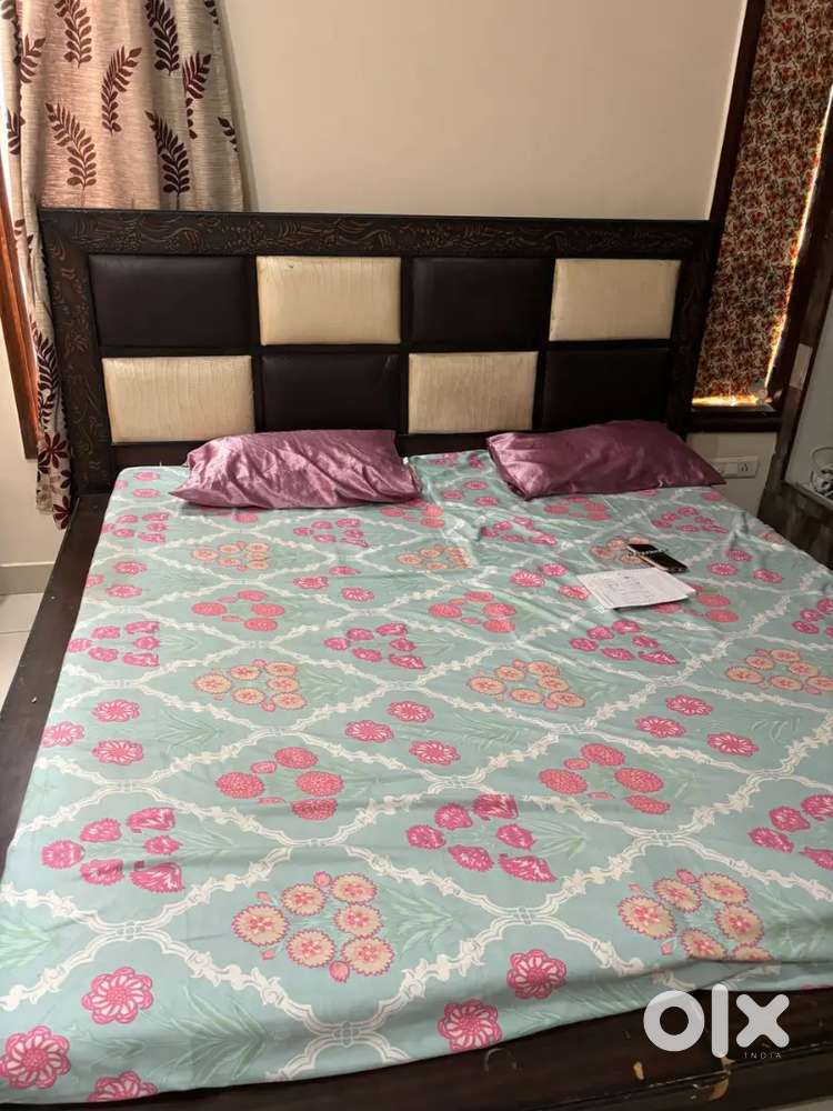 room rent for girls only