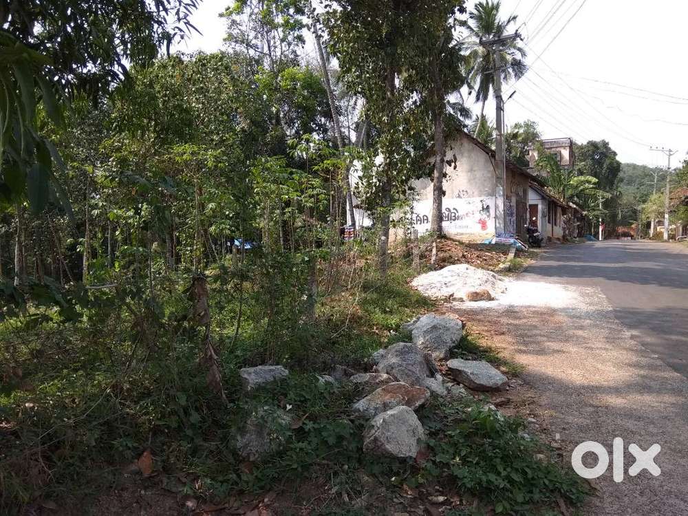 12 cent land @ 2.6 lakhs per cent