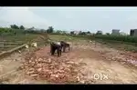 Affordable plots in modinagar