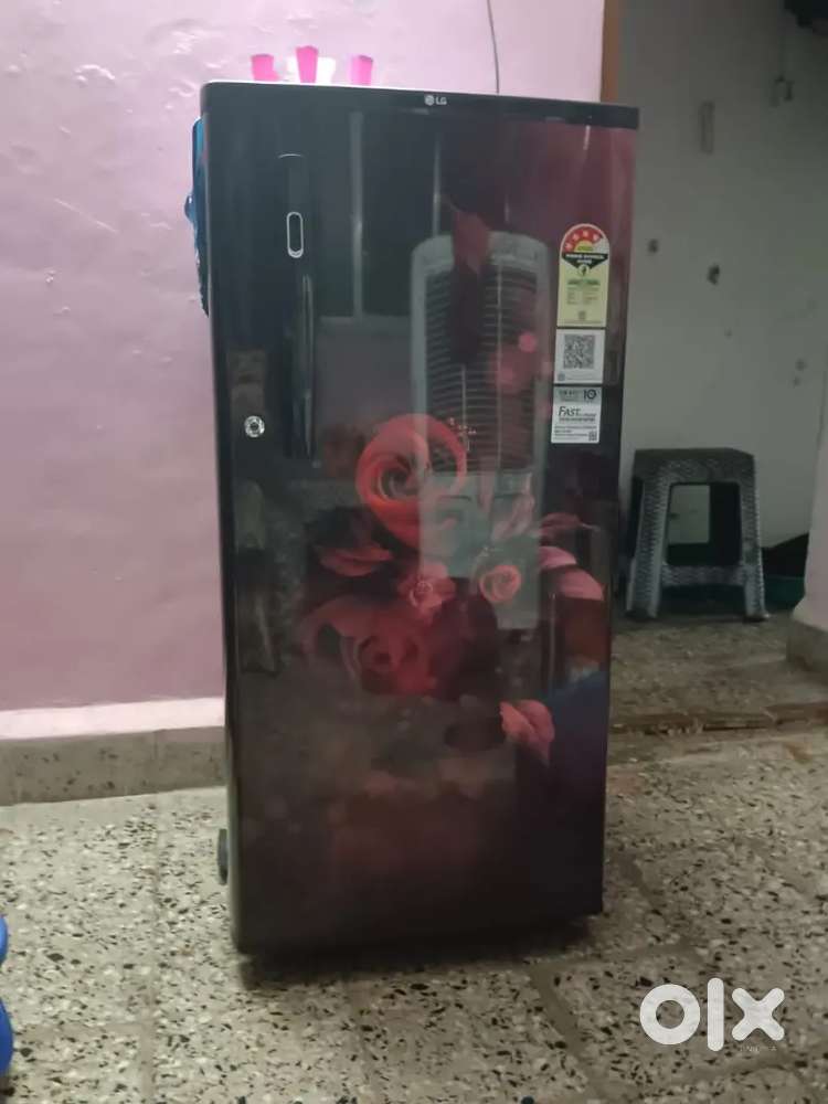 Single Door LG Refrigerator (Purchased a year ago)