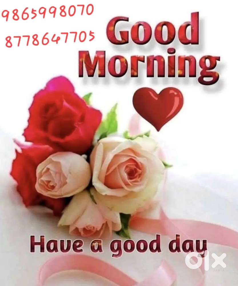 Hub, agency, stock room,distribution point