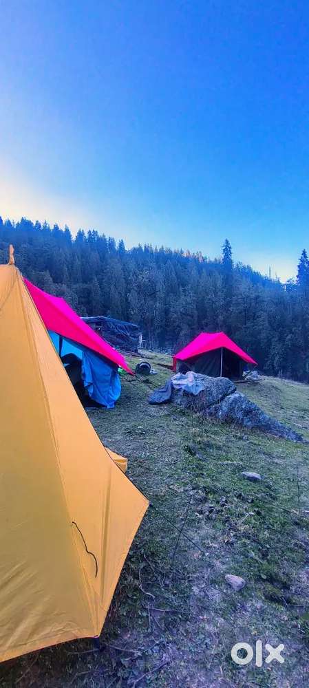 Calling and office work in trek mount (travel company).