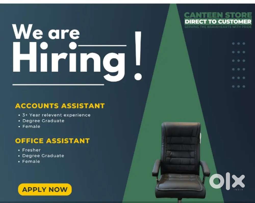 Accountant /Accountant assistant