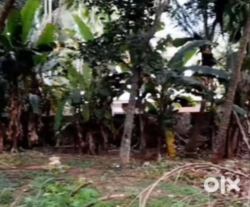 2.75 CENT COMMERCIAL LAND FOR SALE IN MAYILAMBADI (GOVINDAPURAM)