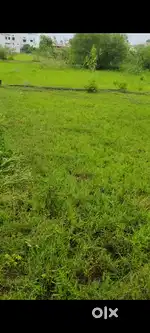 Collectorate ke paas diverted plot h , plot ke dono side road h