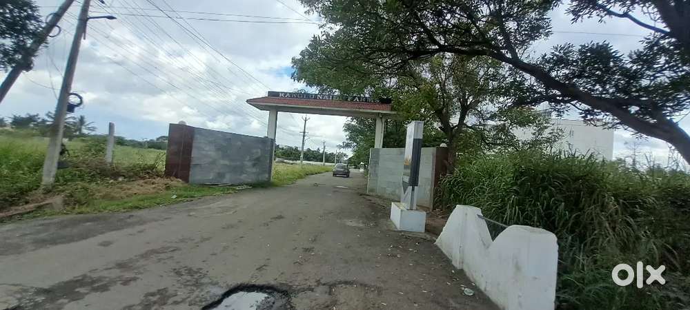 THANGAVELU NEAR LEMON TREE HOTEL DTPSITE 11.0 CENT FOR SALE