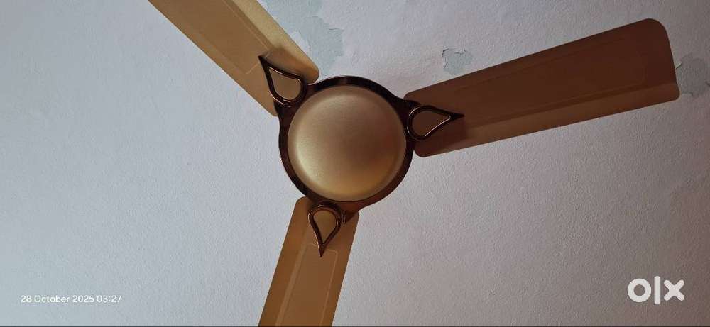 CEILING FAN