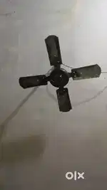 Pankho in surat kamrej