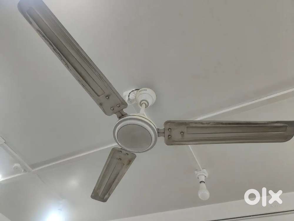 Ceiling fan USHA