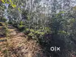 5 cent land , 5 സെൻ്റ് ഭൂമി