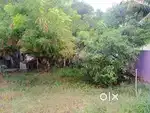 5.5 cent lane for sale in chinnavedampatty