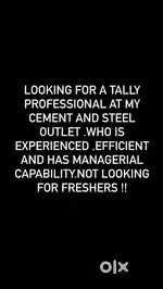 Tally professional