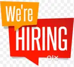 BA BSC Freshers Can Apply