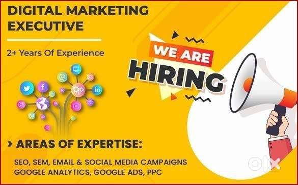Wanted digital marketing expert