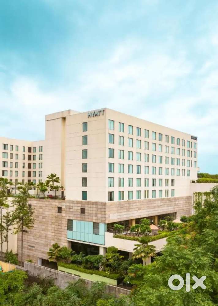 5 star hotel kst & Waiter job