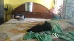 Less price best size bed