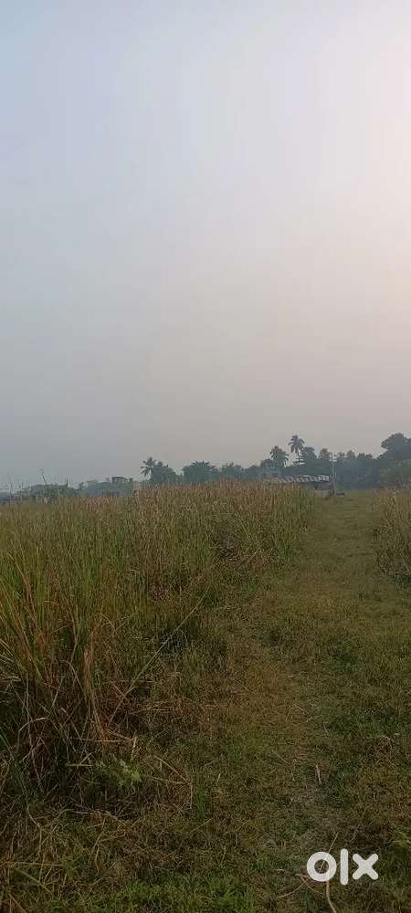 Land near Jotirmoy public school's new campus