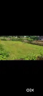 Jamtara near Medisha Hospital 6 kattha 550000 pre kattha
