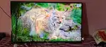 Lg 43 inch android webos 4k led tv