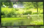 LG OLED C9 55”4K Smart TV – Like New,1 Year LG Warranty – Best Price!