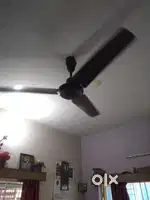 Celling Fan 48 inch