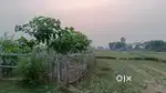 5 Katha plot for sale