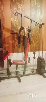 Gym fitness