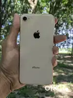 iPhone 8 gold colour