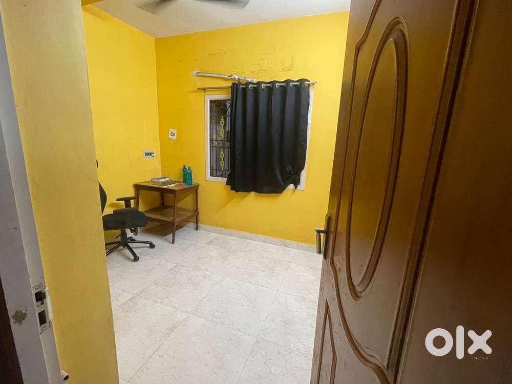 ONLY FOR PET PARENTS/ FAMILY LOVES PETS (especially dogs )