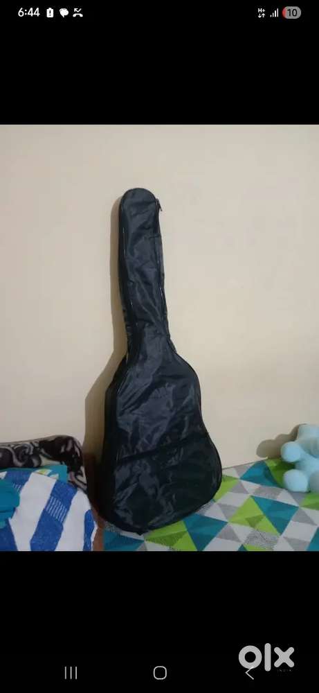 Blue Berry Guitar In Black Finish