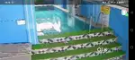 4 BHK bungalow with swimming pool for rent agreement
