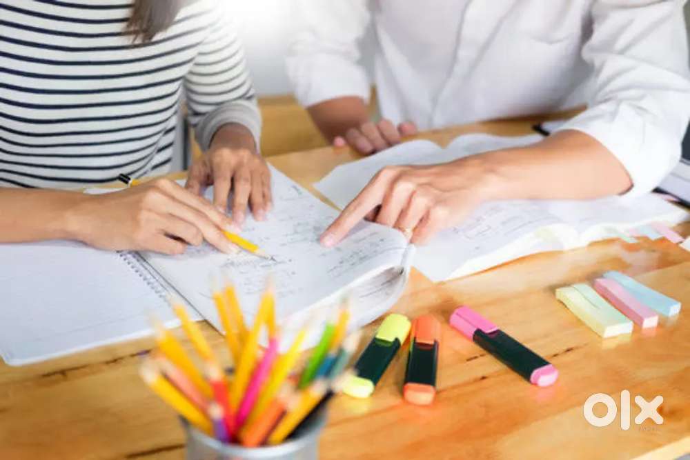 Online and home tutor