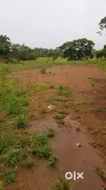 Madpa 2500 sqmt Prime Plot - 4.25 Cr
 17K/sqmt slightly negotiable