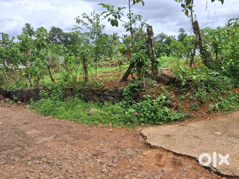 Land for sale in Njaliyakuzhy