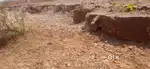 M sand and agriculture land 910000 per acre slightly negotiable