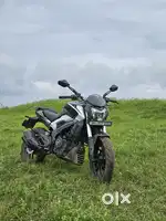 DOMINAR 250 ( showroom maintained)
