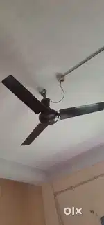 Ceiling fan