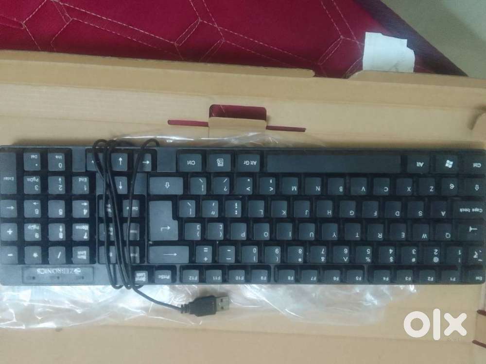 Zebronics system keyboard