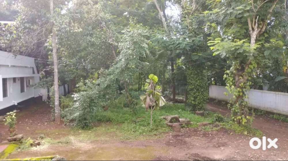 9 cent square plot, NEAR NEW AHALIA HOSPITAL