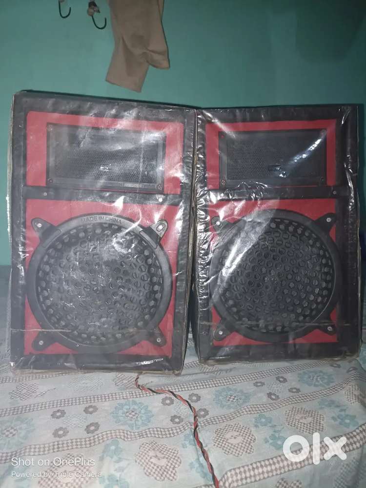 Philips 10inch speaker