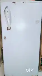 LG Company
