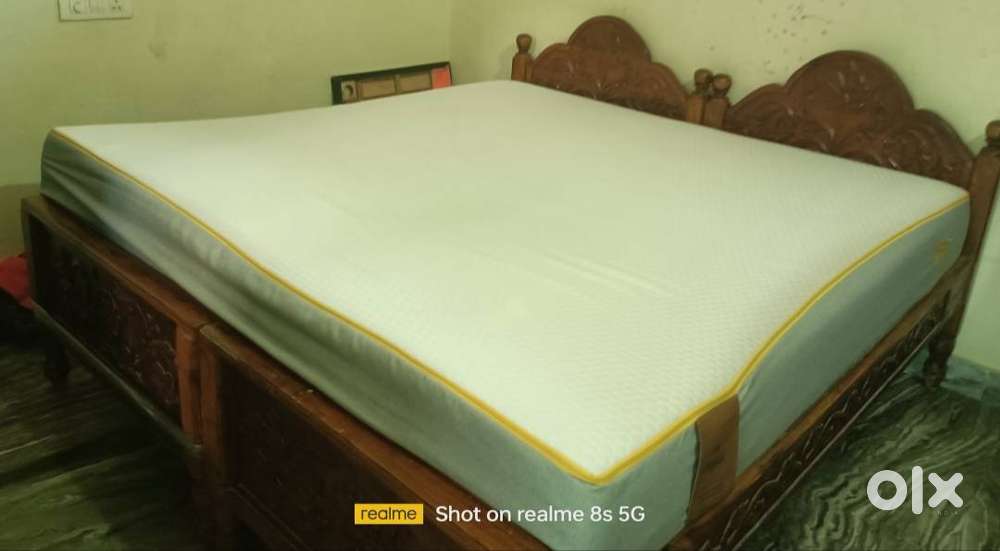 Sleepy cat mattress