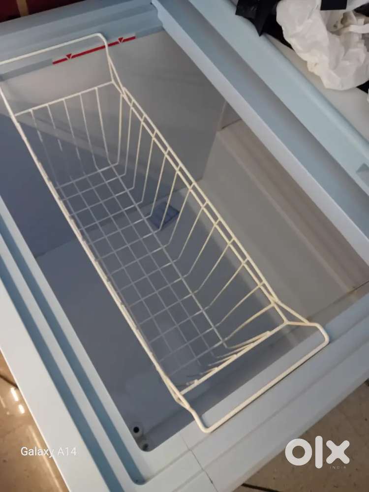 D frigher yoorej company just 6 month